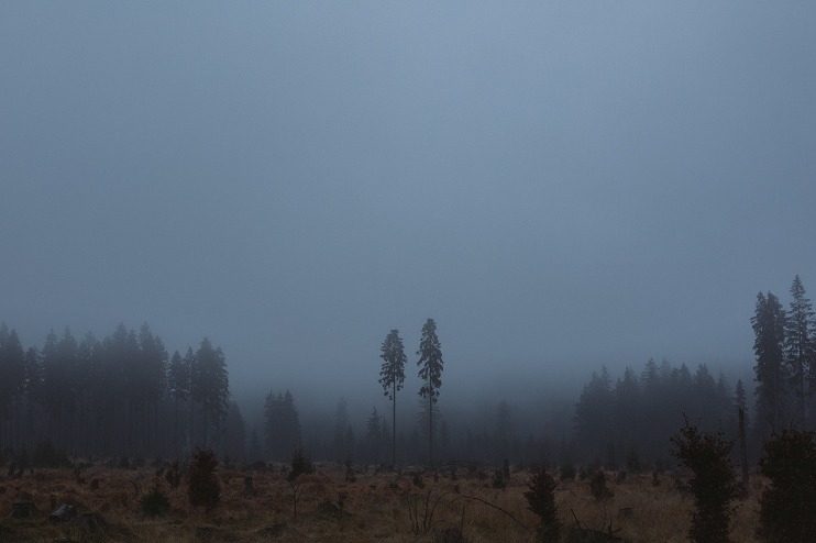 dark web markets reddit 2023