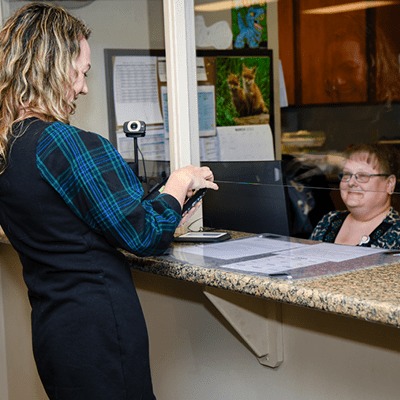 dark web social security number