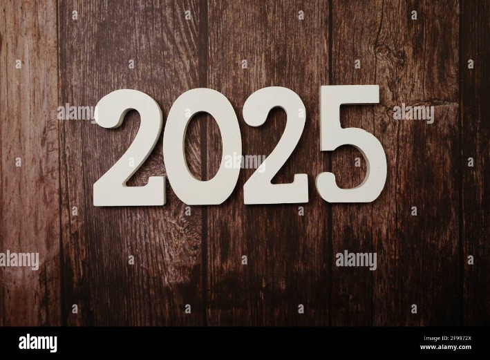 2025 darknet market