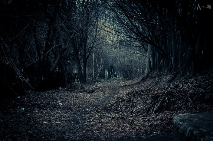 dark web links reddit