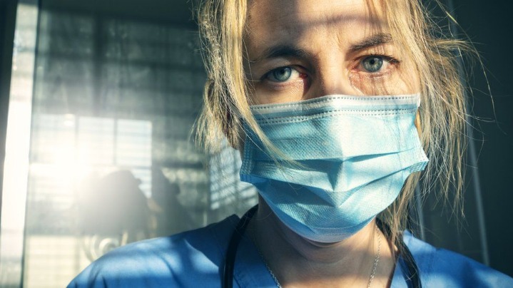 darknet cannabis markets