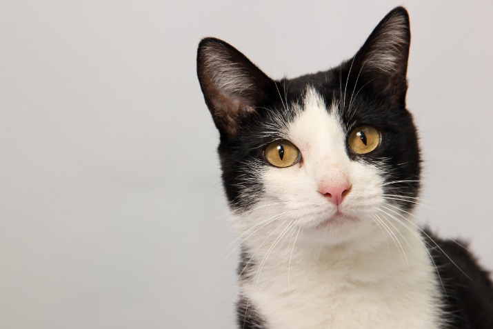 black market sites 2025