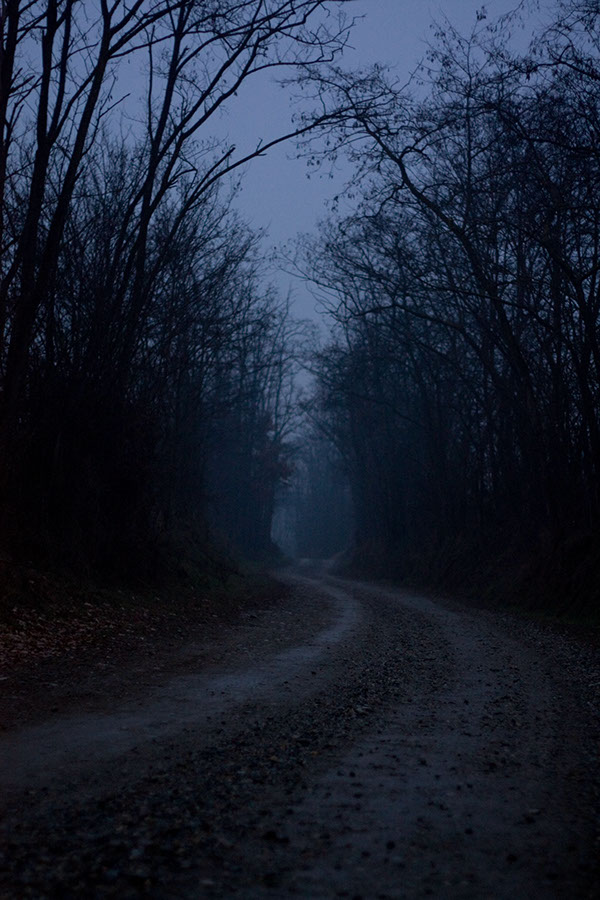 dark markets belgium